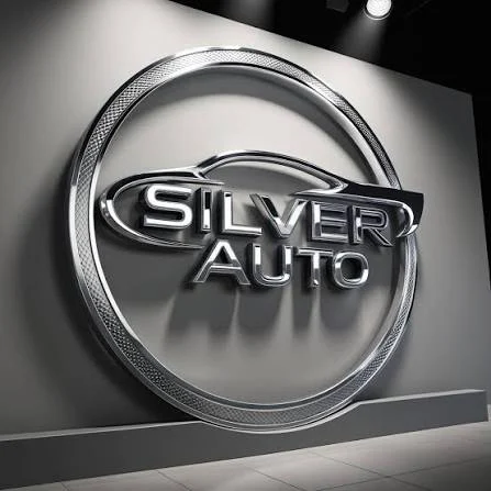 Parc-Auto-Cluj-Silver-Auto